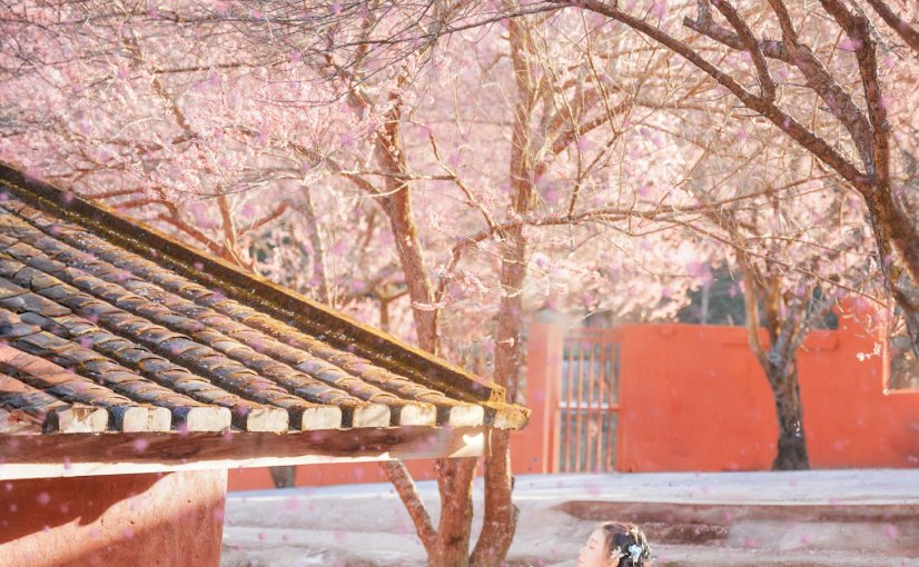 卿莫07 – 《梅花古风人像拍摄》[22P]